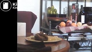 Babe poops on her breakfast plate