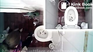 desperate_gal_blocks_toilet