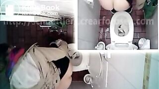 desperate_gal_blocks_toilet