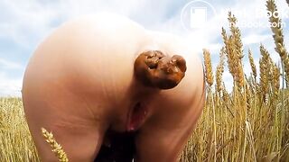 Relief in a corn field