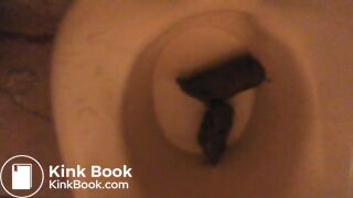 poop into potty-2