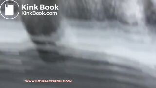 NSG good brune pooping neige