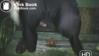 NSG nice poop in banc 2