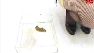 Amateur Lingerie Poop - Scene M