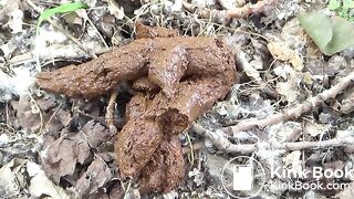 Big poop in the forest, spycam!