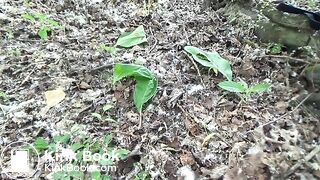 Big poop in the forest, spycam!