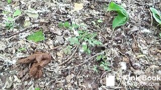 Big poop in the forest, spycam!