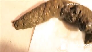 farting and shitting