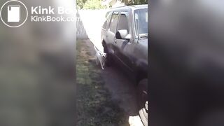 Backyard pile of poop