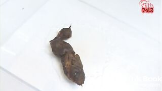 japanese beautiful sexy girl 10