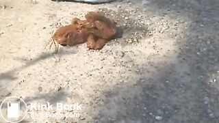 NSG diarrhea ootdhor