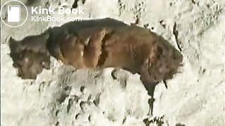 Babe pooping on a sandy beach
