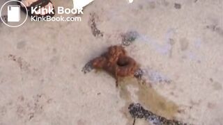 Piroska pooping on a watchtower