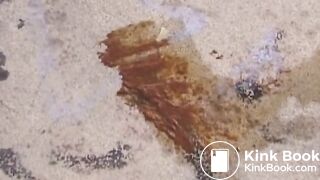 Piroska pooping on a watchtower