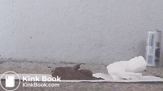 NSG red-bull diarhea