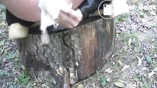 NSG pooping in tronc d arbre