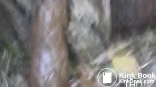 NSG pooping in tronc d arbre