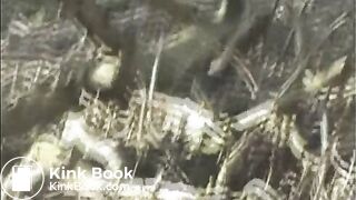 NSG good pooping foret