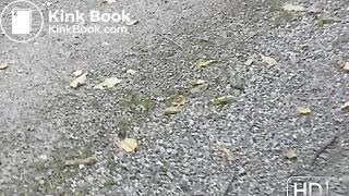 NSG perfect shit in foret