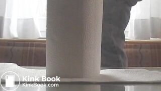 Paper Towel Poop