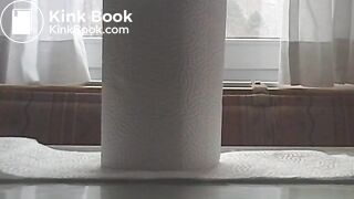 Paper Towel Poop