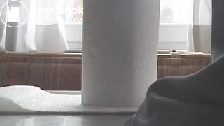 Paper Towel Poop