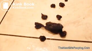 Doggy Style scat in the bathroom