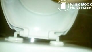 Close up Long Fat Shit in Toilet