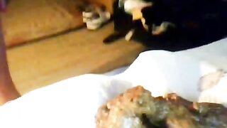 Pooping Scat tube video Scat porn Best Porn Tube Pooping gir-2