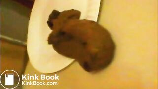 Ooopsnearly fell off the plate