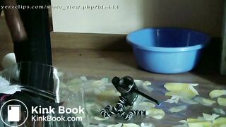 1817_toilet_slave