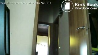 1817_toilet_slave