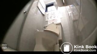 Japanese Western Toilet Bowlcam 47