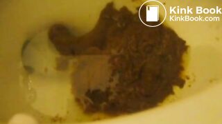 BBW fat girl filed a huge shit in toilet