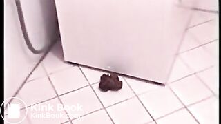 Diarrhea over the toilet