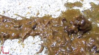 asian desperate poops