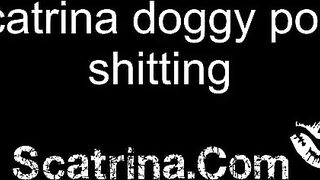 Scatrina doggy pose shitting