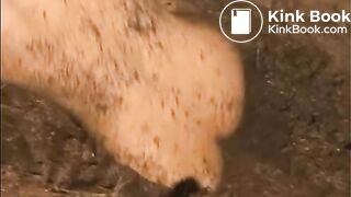 bath1-clip