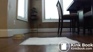 Early Poo Alexa 1