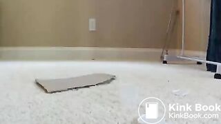 Lunchbox für die Ehecuckisau