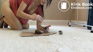 Lunchbox für die Ehecuckisau