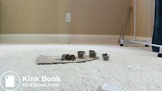 Lunchbox für die Ehecuckisau