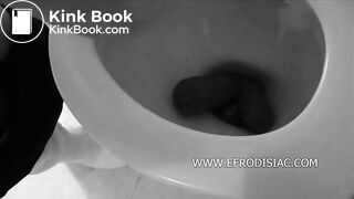 Massive unflushable poop