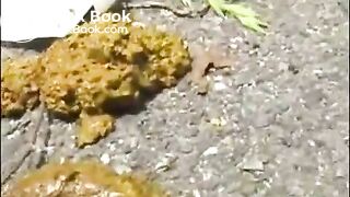 asian outdoor poop