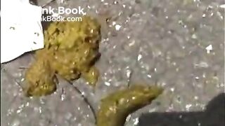 asian outdoor poop