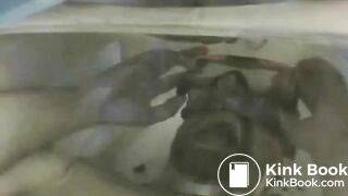 Can you handle it_ - I would love to try!