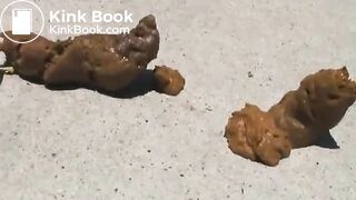 Two Pretty Girls Make Big Dump