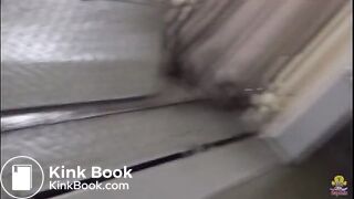 train 04 (include shit)