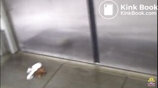 train 04 (include shit)