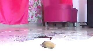 Kinky play on webcam